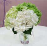 White and green Hydrangea