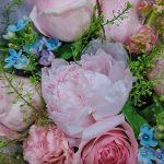 Luscious-peony-peony