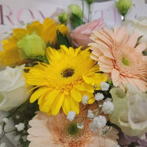Aroma-Flowers-Gerbera-Flower-close-up