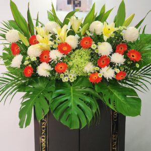 Condolence-flower-warmth