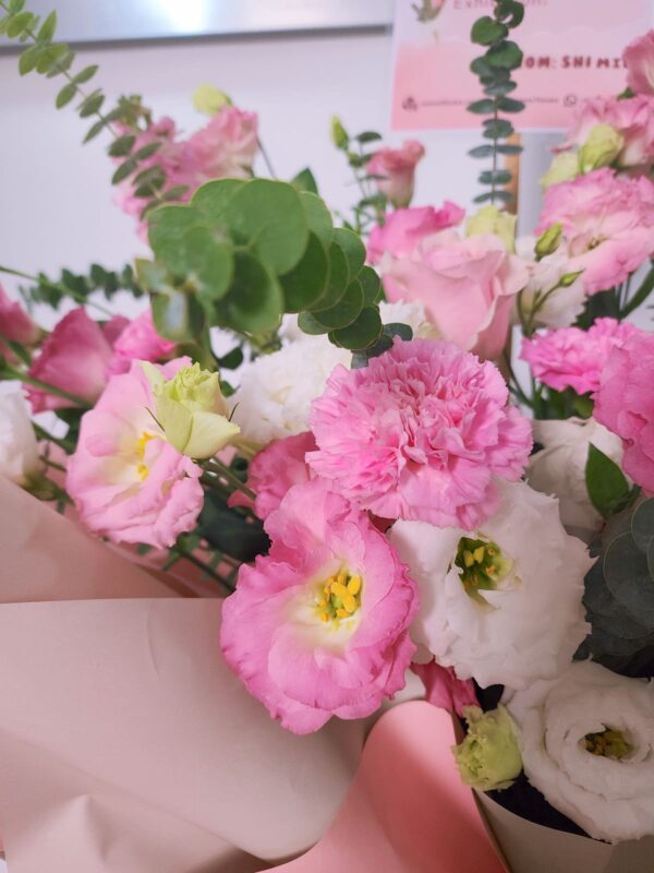 Opening-flower-Graceful-carnation-close-up