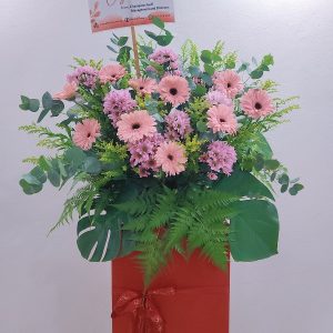 Opening-flower-stand-single-box-zoom-min