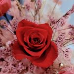 Red-preserved-flower-ceramic-rose-red-min