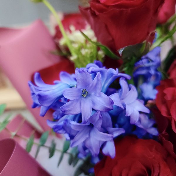 Red-rose-with-hyacinth-bouquet-hyacinth