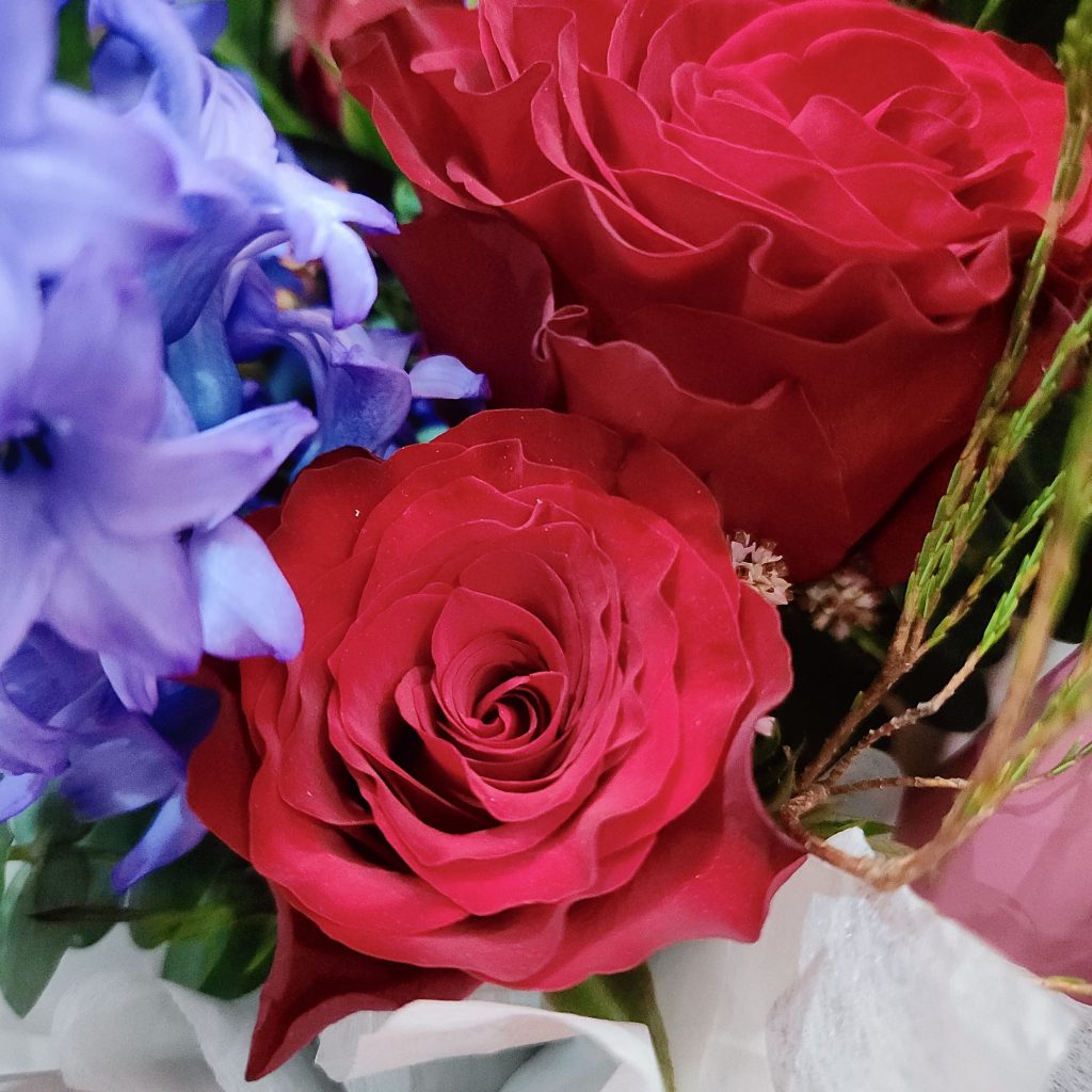 Red-rose-with-hyacinth-bouquet-rose