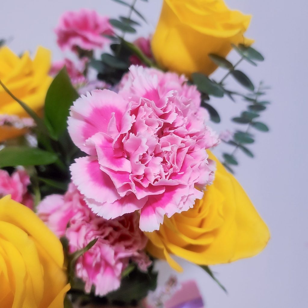 Yellow-rose-pink-carnation-carnation