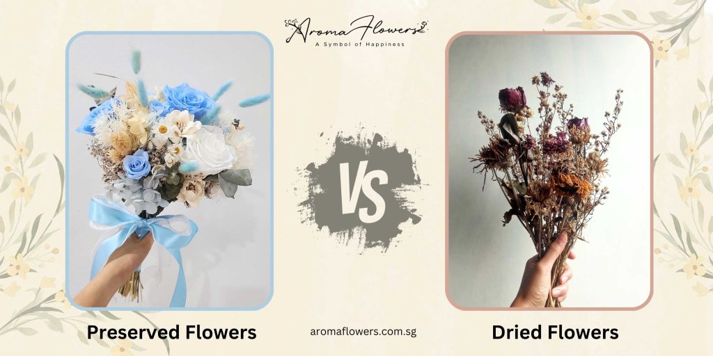 Preserved-flower-vs-dried-flower-banner2