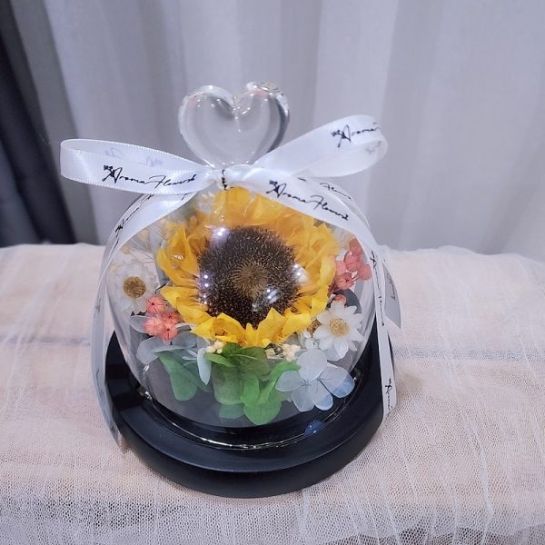 Preserved-sunflower-dome-w-cover-ribbon-min