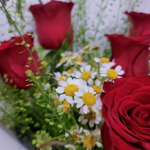 Red-rose-chamomile-bouquet-focus-chamomile-min