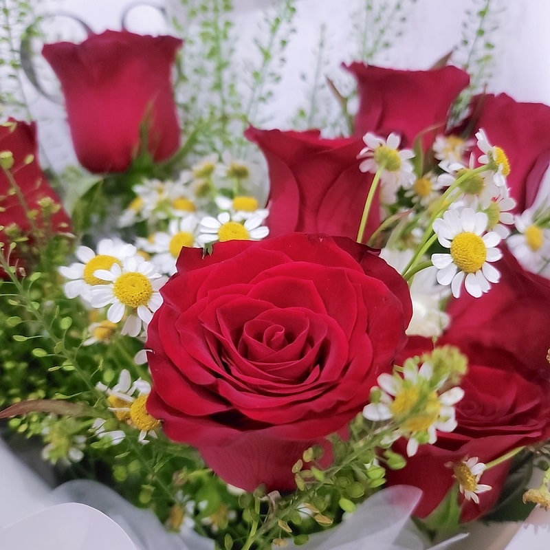 Red-rose-chamomile-bouquet-focus-rose-min
