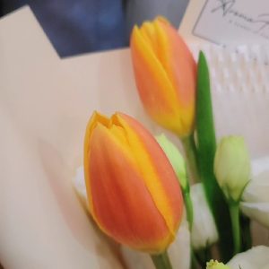 Orange-tulip-bouquet-tulip-min