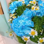 Blue-carnation-bouquet-canation-min