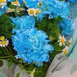 Blue-carnation-bouquet-canation2-min