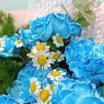 Blue-carnation-bouquet-chamomile-min